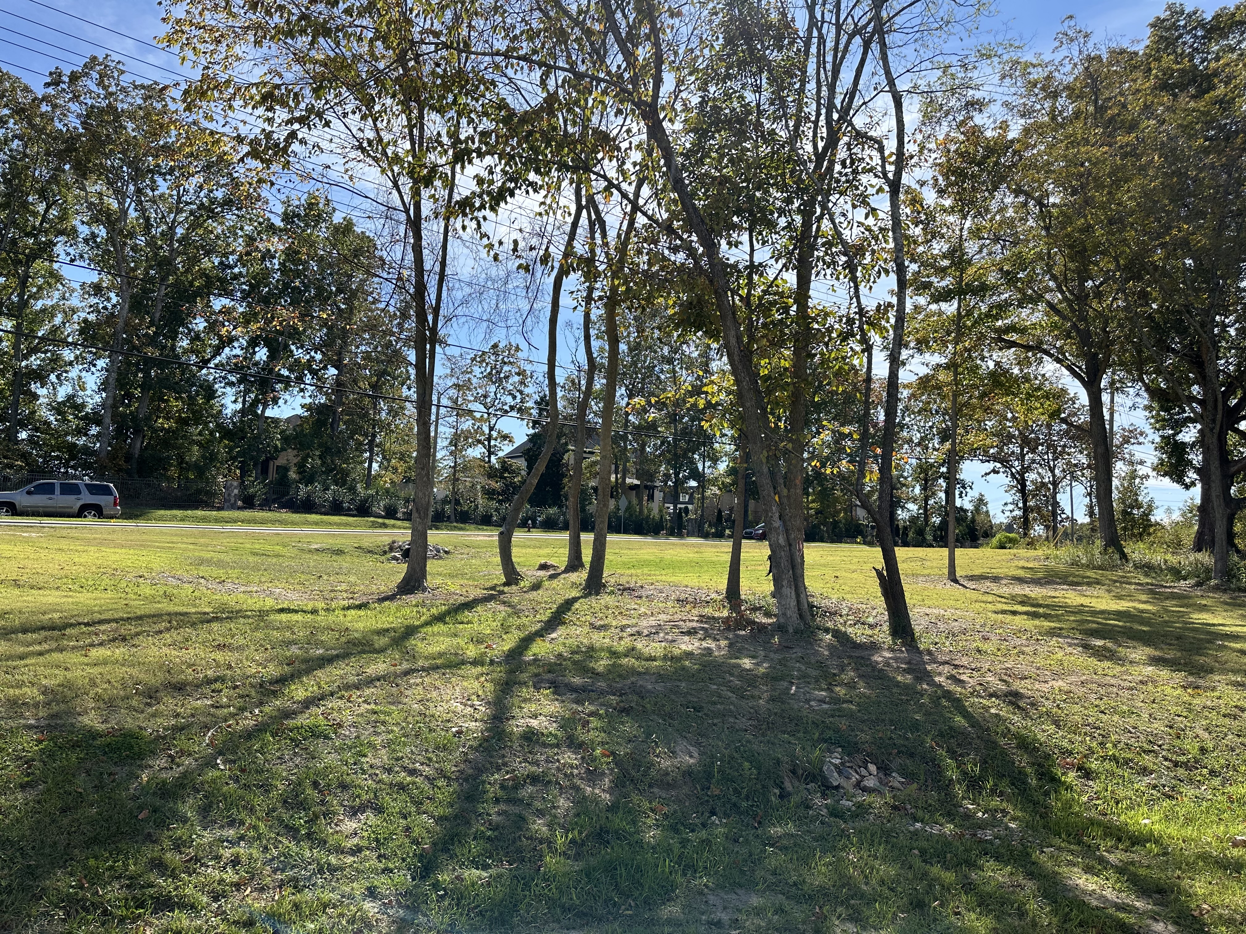Front Lawn Front Lawn